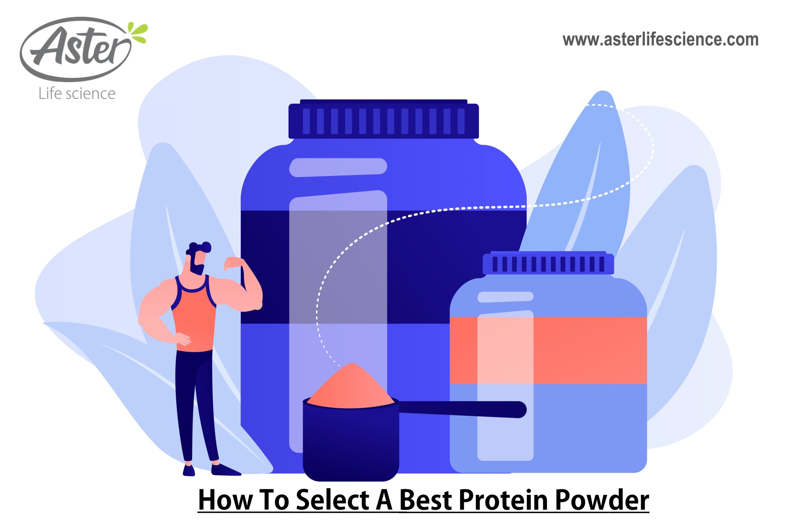 Best Protein Powder